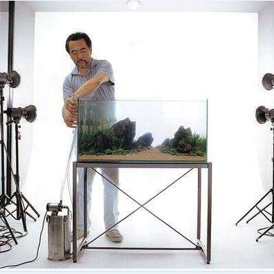 How to make a planted aquarium tank