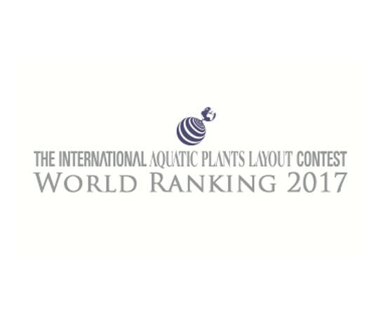 Comment on the 2017 IAPLC competition